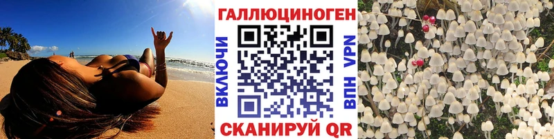 Псилоцибиновые грибы Cubensis Первоуральск